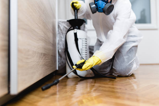  Las Campanas, NM Pest Control Pros