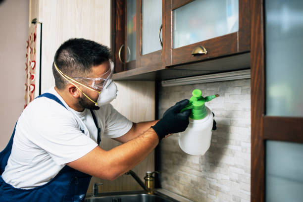 Best Pest Inspection Near Me  in Las Campanas, NM