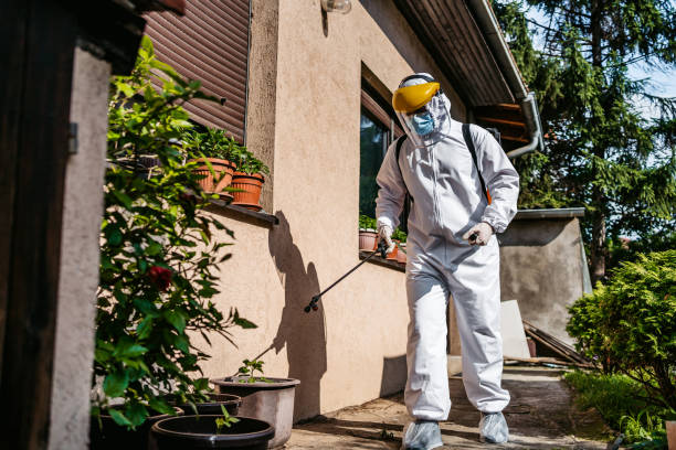 Trusted Las Campanas, NM Pest Control Experts