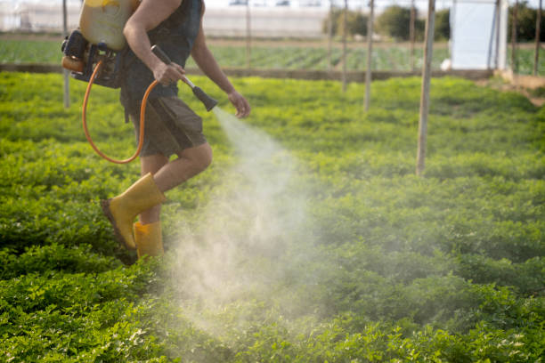 Best Best Pest Control Companies  in Las Campanas, NM