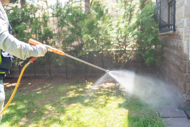 Best Wasp Removal Services  in Las Campanas, NM