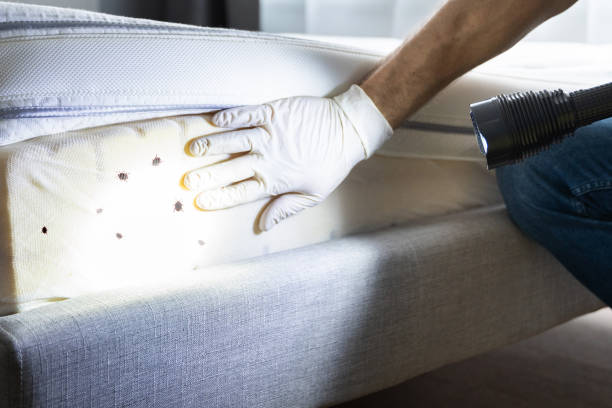 Best Commercial Pest Control Services  in Las Campanas, NM